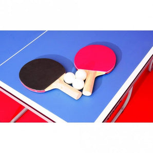 Butterfly Starter Table Tennis Table Includes Butterfly Clip net and post set, 2 reversed bats and 3 balls