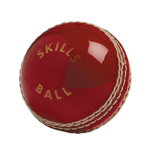 Gunn & Moore Cricket Skills Ball