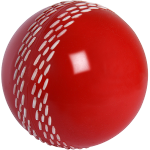 Gray Nicolls Velocity Training Cricket Ball