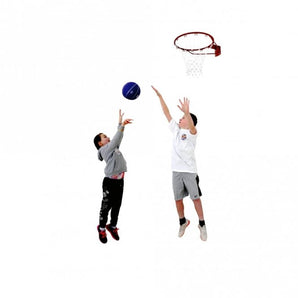 Sure Shot 212 Fast Break Basketball ring and net. Full Size 18” (45cm) ring.  Sold By Alliance Sports Innovation.