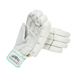 Newbery Kudos batting gloves