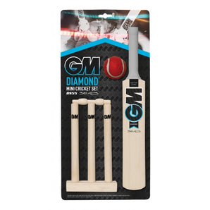 GM Mini Cricket Game