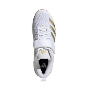 Adidas Cricket Adipower Vector Gold Metallic Spikes