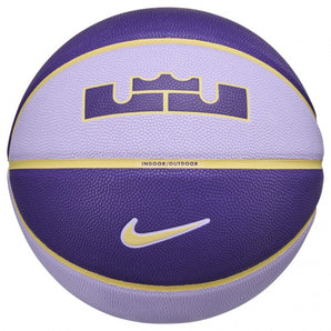 Nike Lebron James 2.0 All Court Basketball