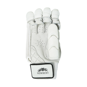 Newbery Player Cricket Batting Gloves