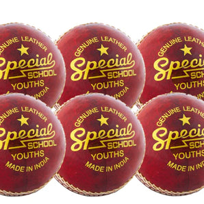 Readers Special School Cricket Ball