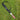 Sure Shot Rounders Bat Bag - Single